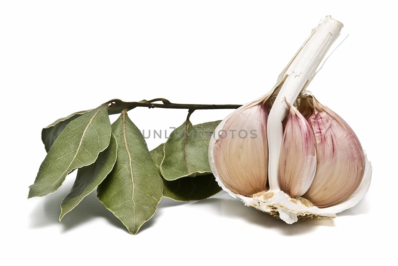 Mediterranean spices isolated on a white background.