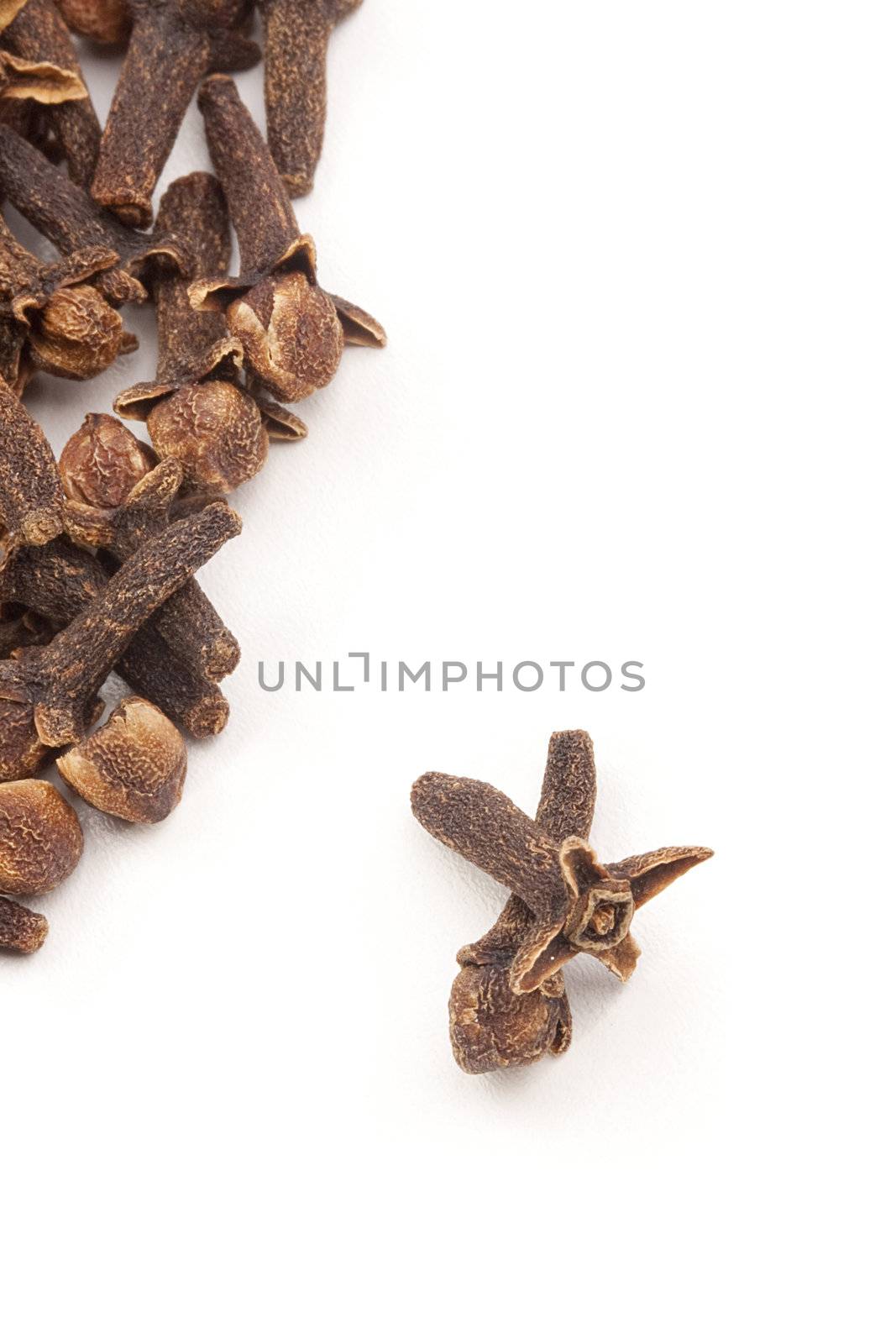 Spices for addition in food on a white background.