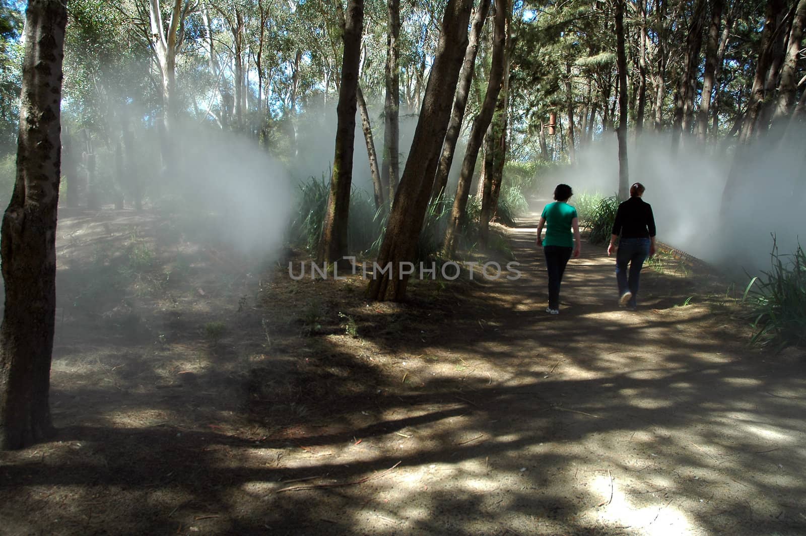 two persons walking through misty forest