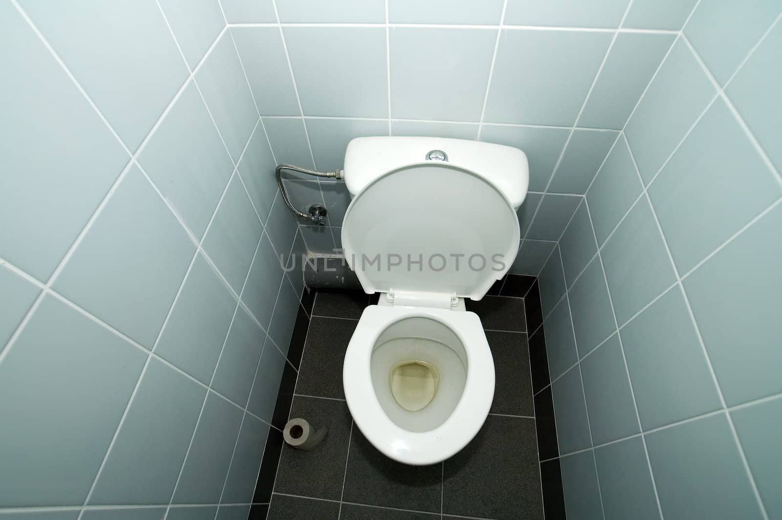 clear empty toilet, white walls, toilet paper