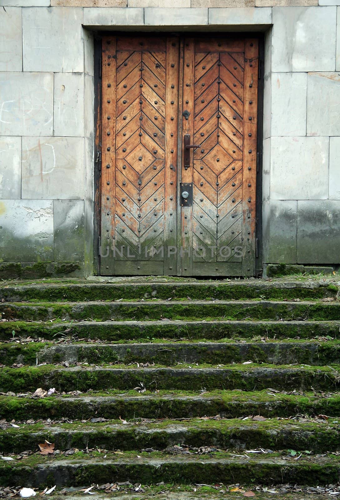 dirty stairs covered with moss, old wooden door,