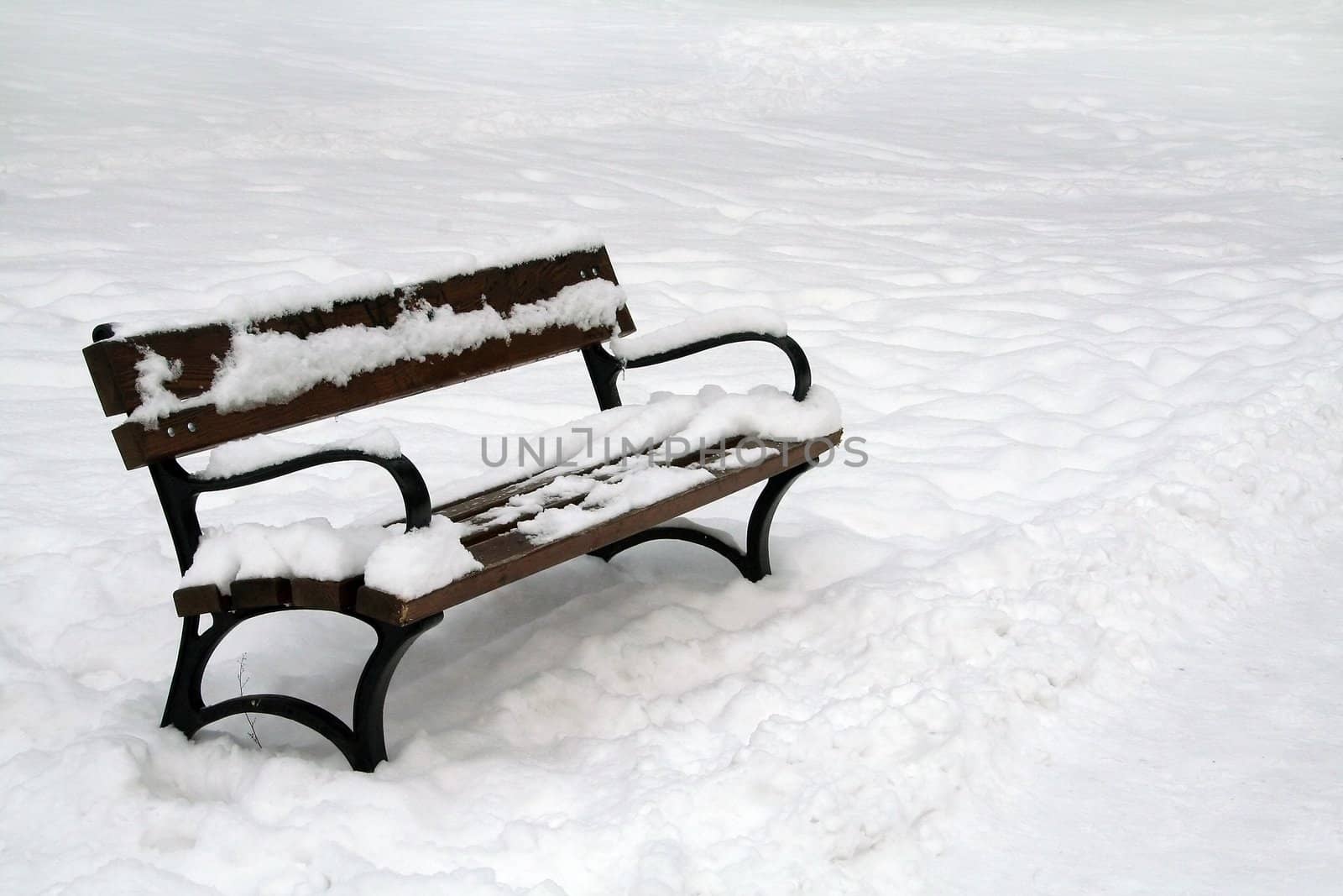 wooden bench in winter, clear snow on ground and on bench