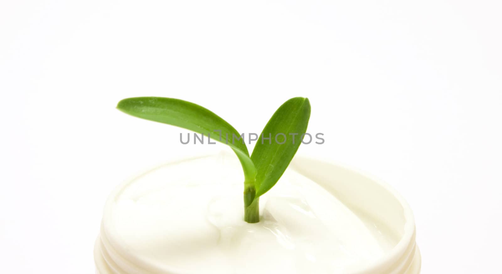 Soft creme bottle with leaves over white background