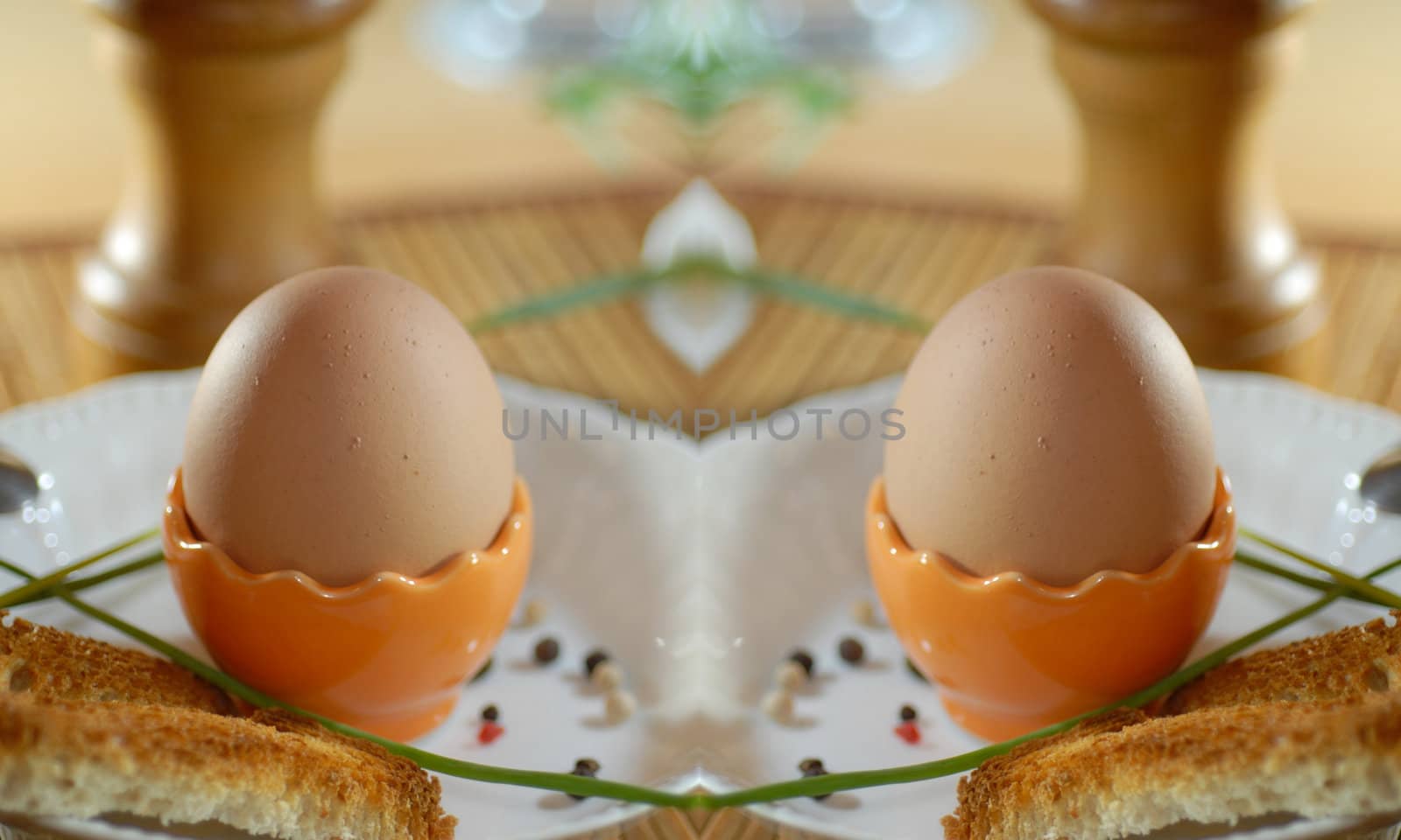 egg shell  by Baltus
