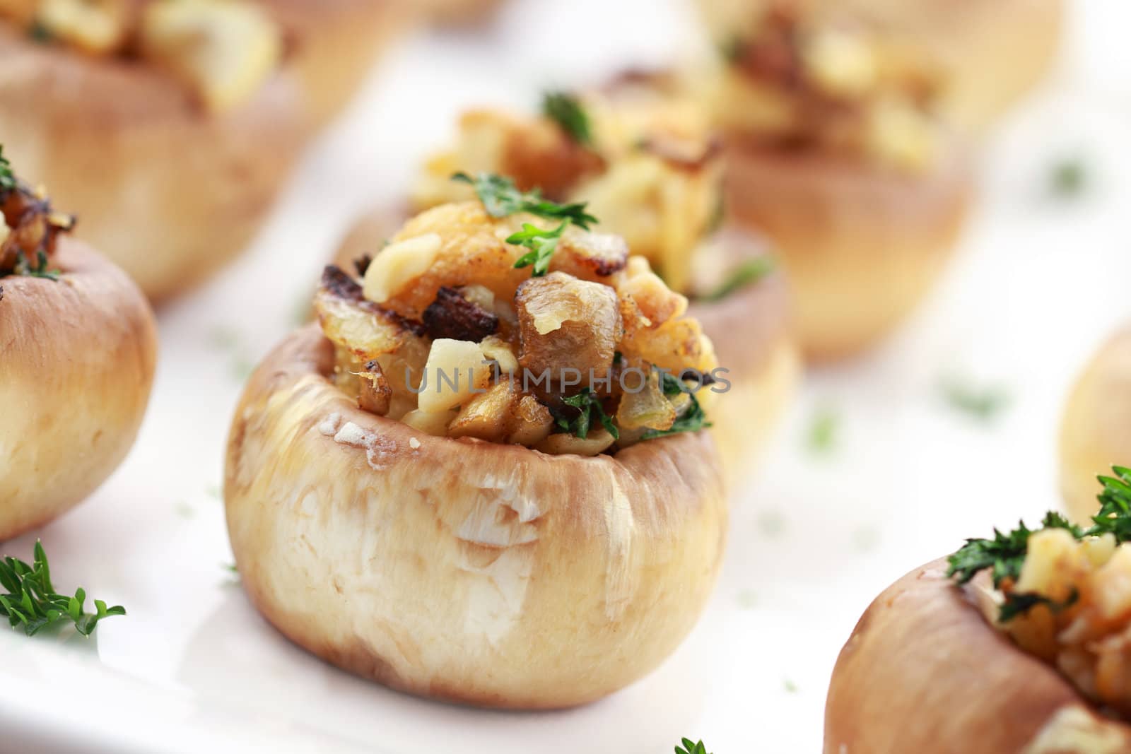 Stuffed mushrooms filled with bread crumbs, cheese, mushroom stems, fresh  parsley,onions and Macadamia nuts. Extreme shallow DOF with selective focus on center mushroom.
