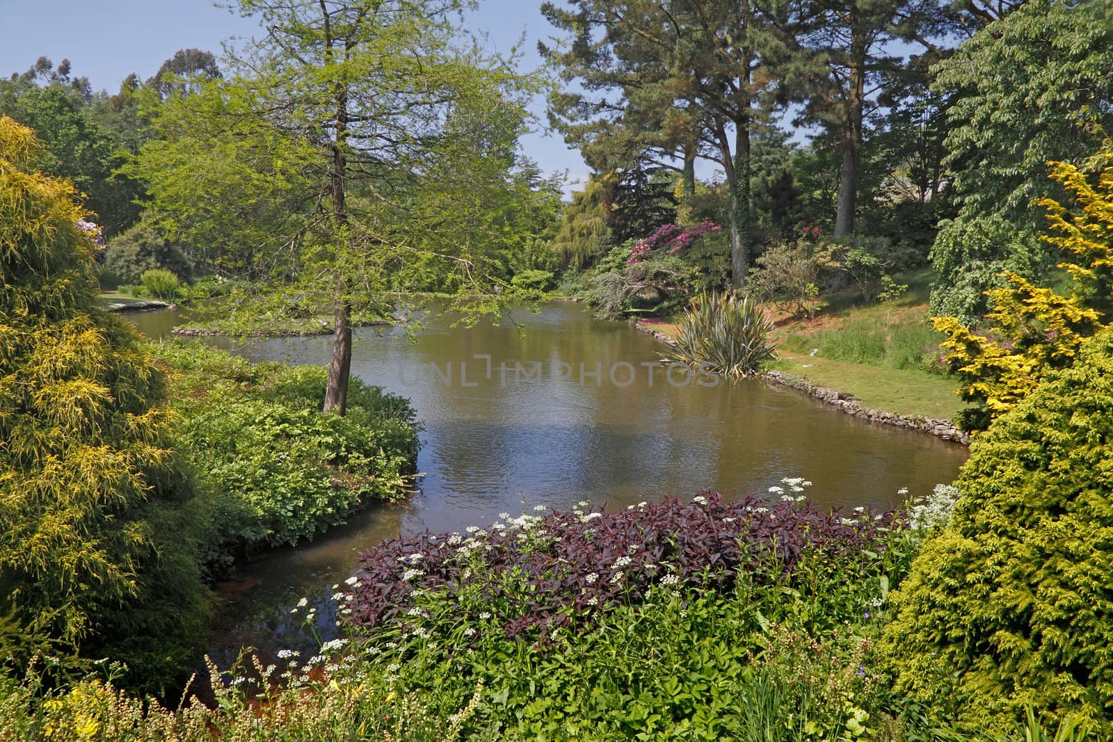 A garden with a pool in Devon, England.