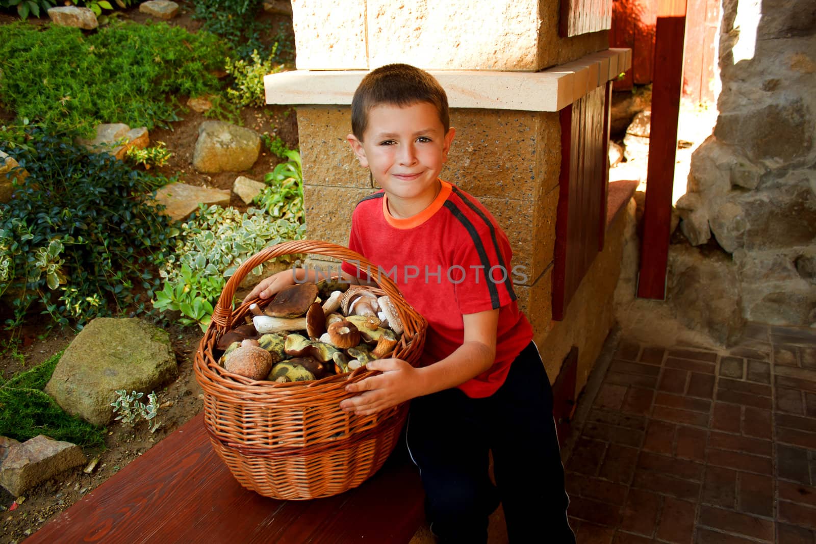 Small boy, mushroom picker with red Shirt