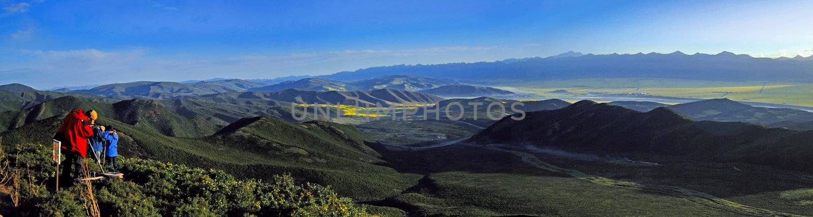 Valley and yellow field with oil seed rape in summer by xfdly5