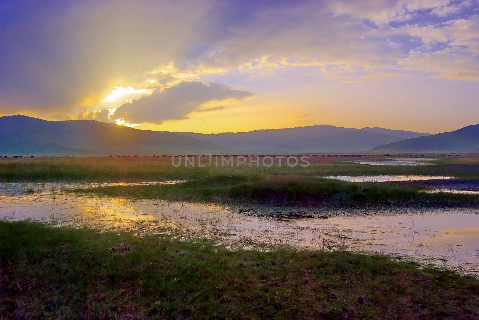 Morning view of Qiliansan's  Prairie by xfdly5