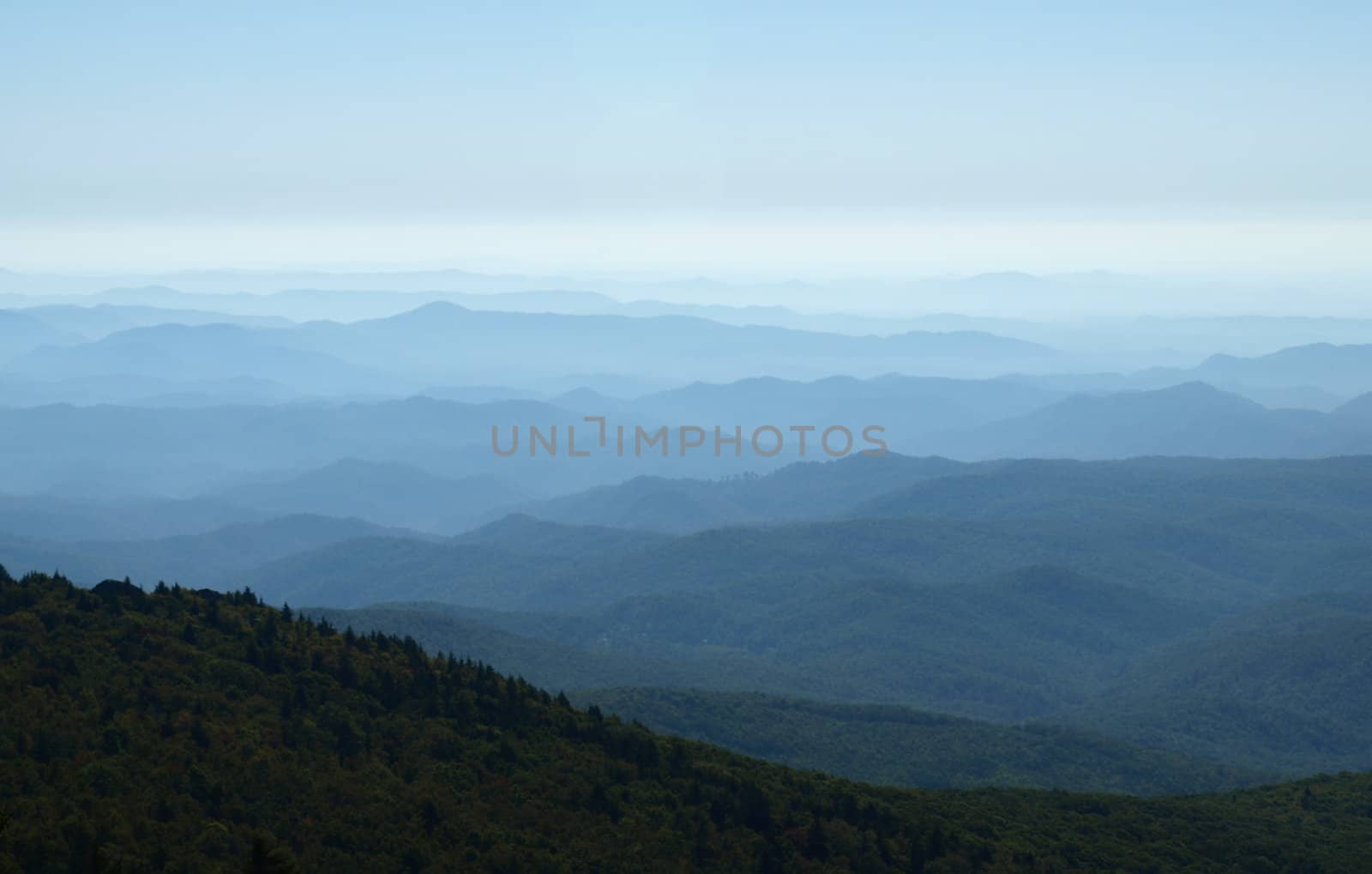 Along the trail at Grandfather mountain in North Carolina