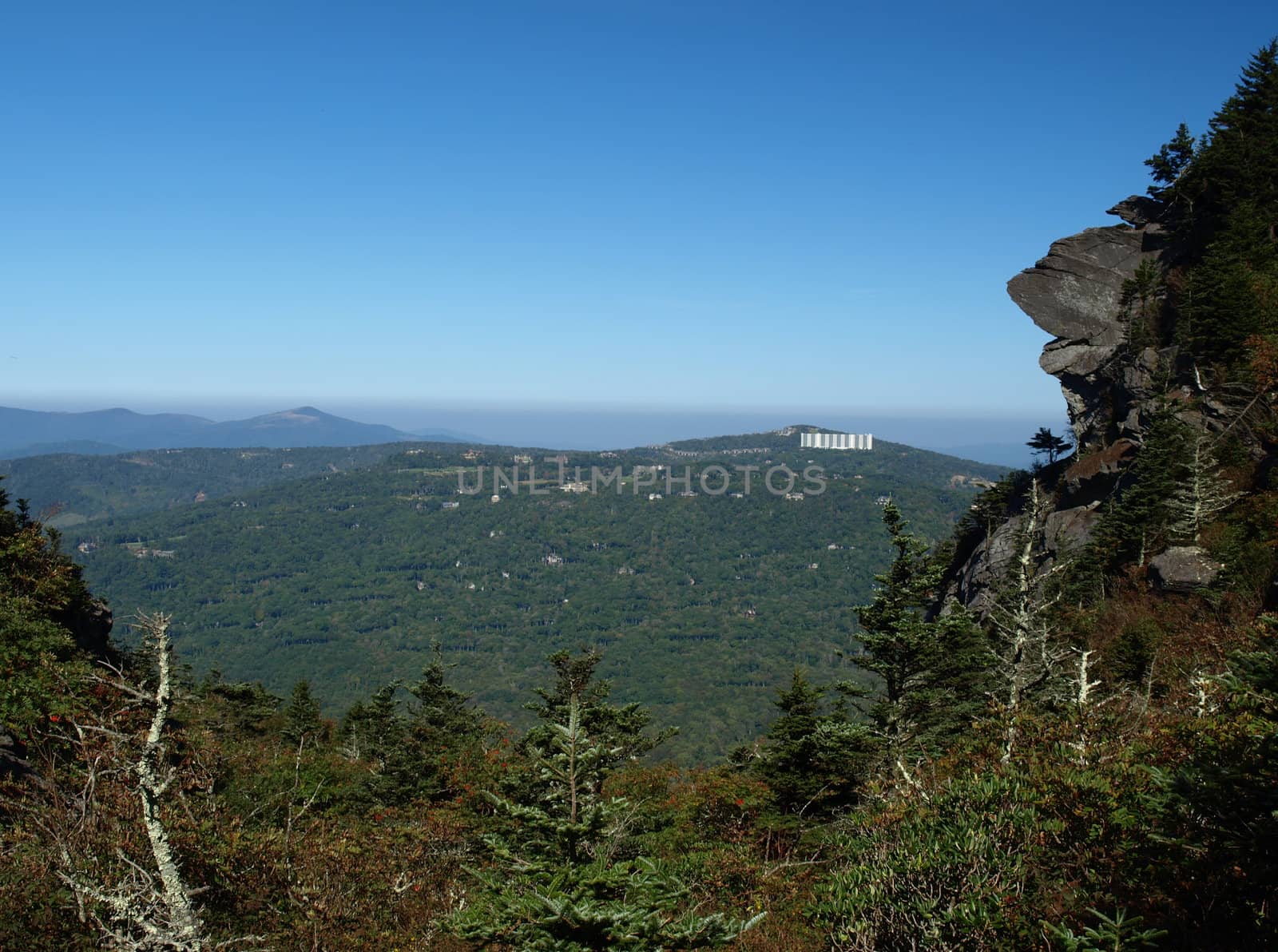 Along the trail at Grandfather mountain in North Carolina