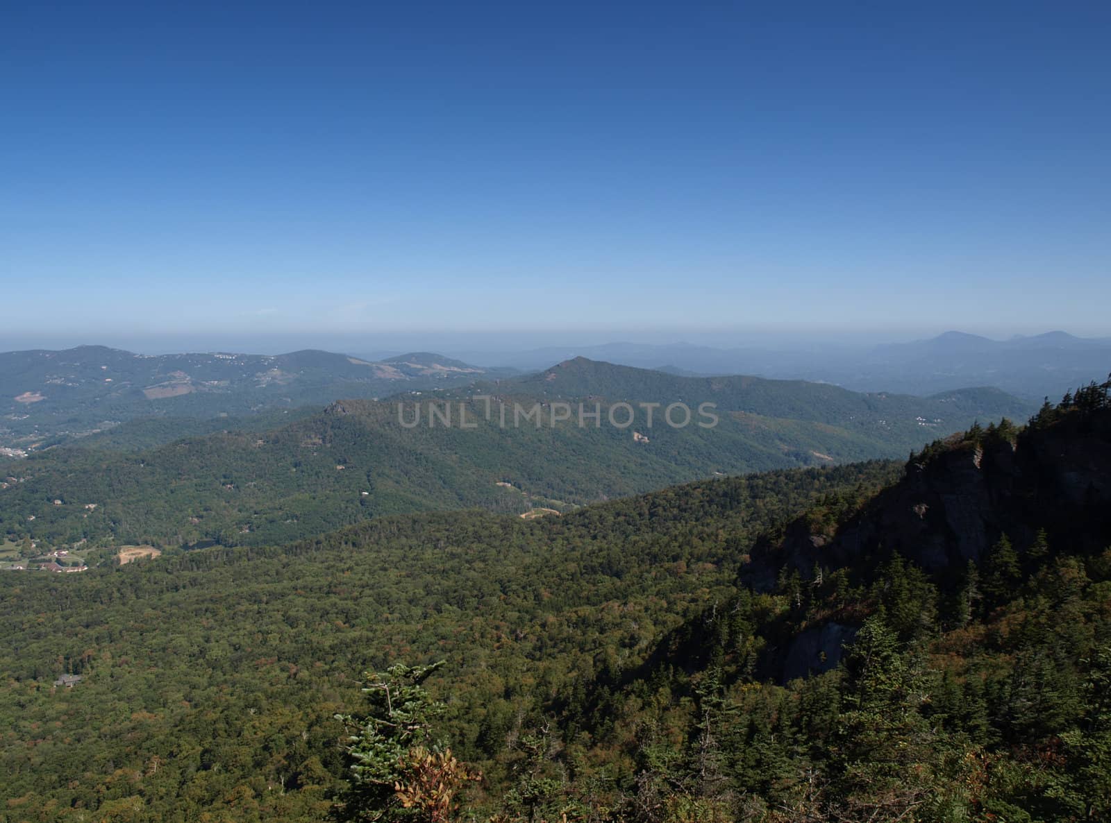 Along the trail at Grandfather mountain in North Carolina