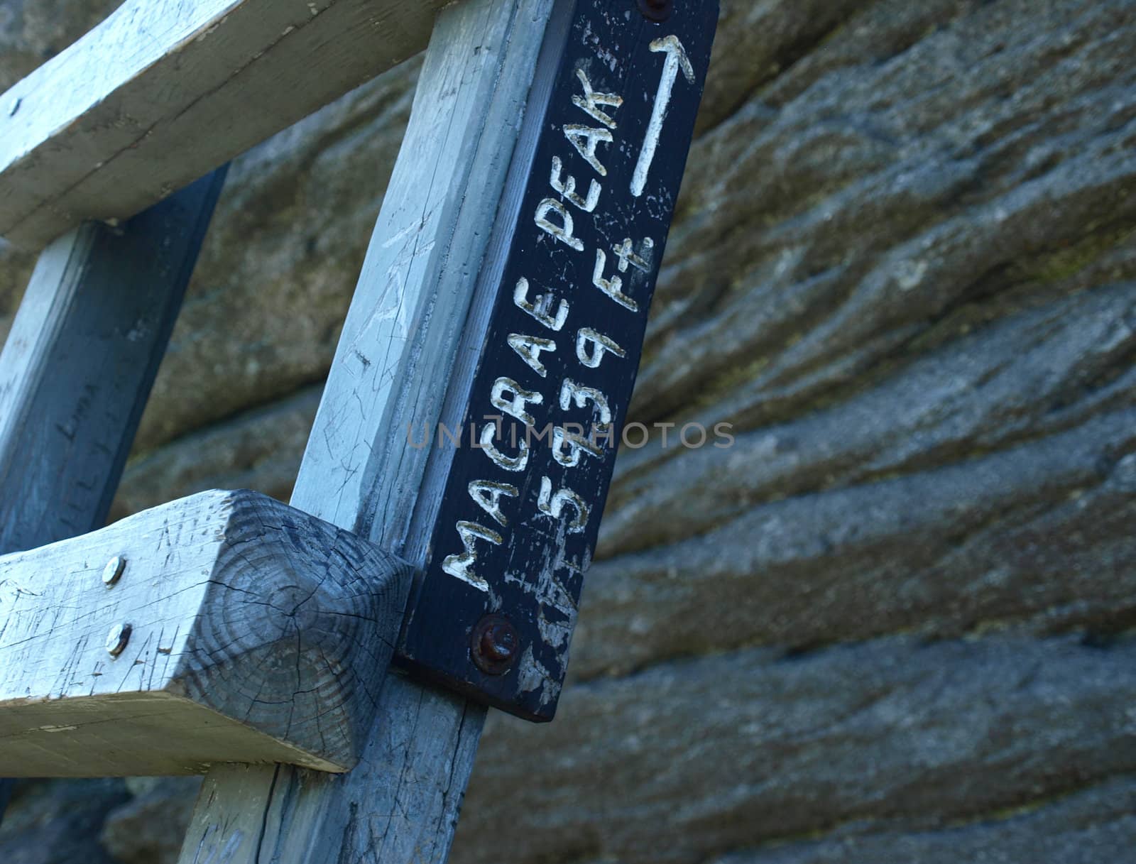 Along the trail at Grandfather mountain in North Carolina