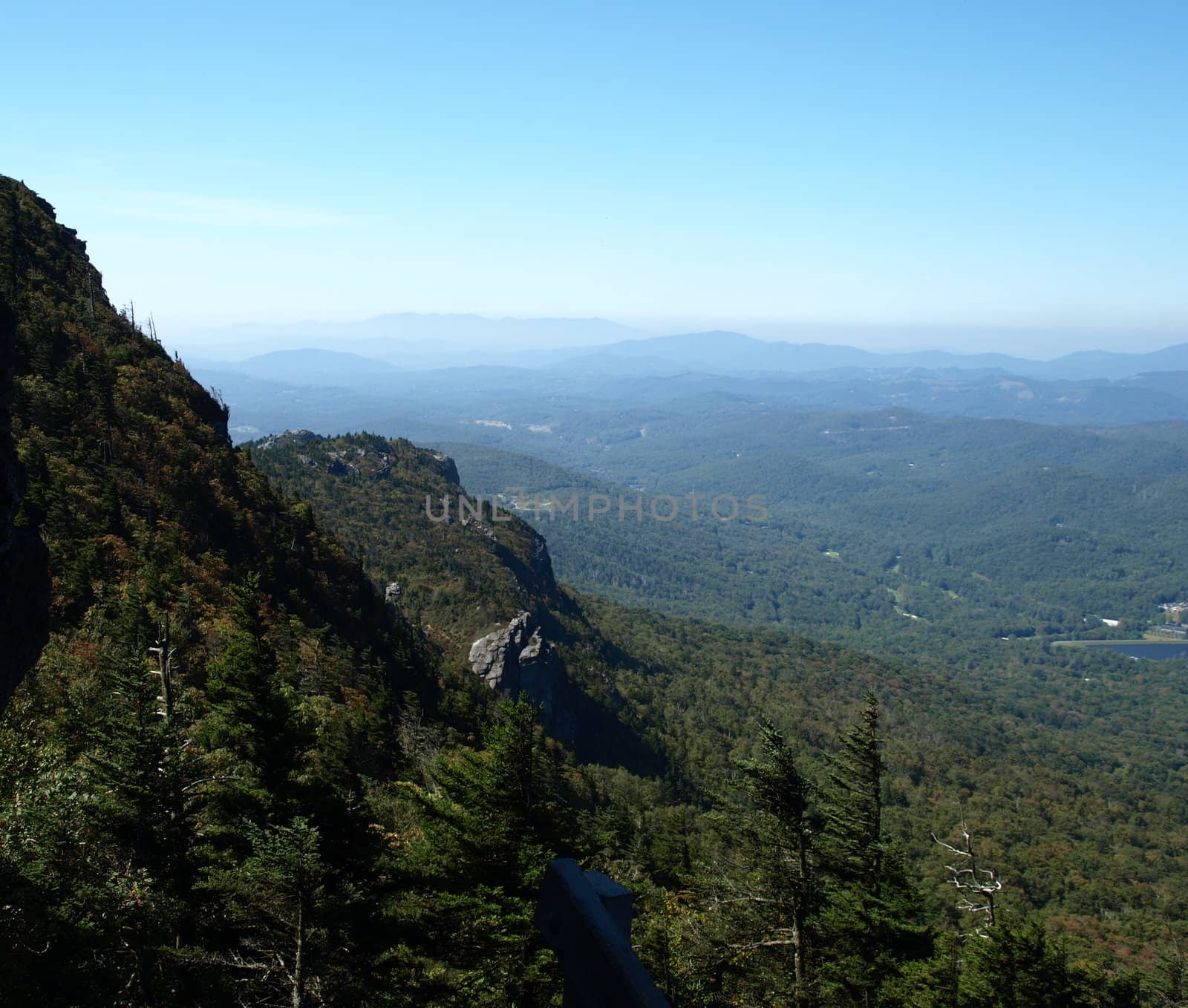 Along the trail at Grandfather mountain in North Carolina