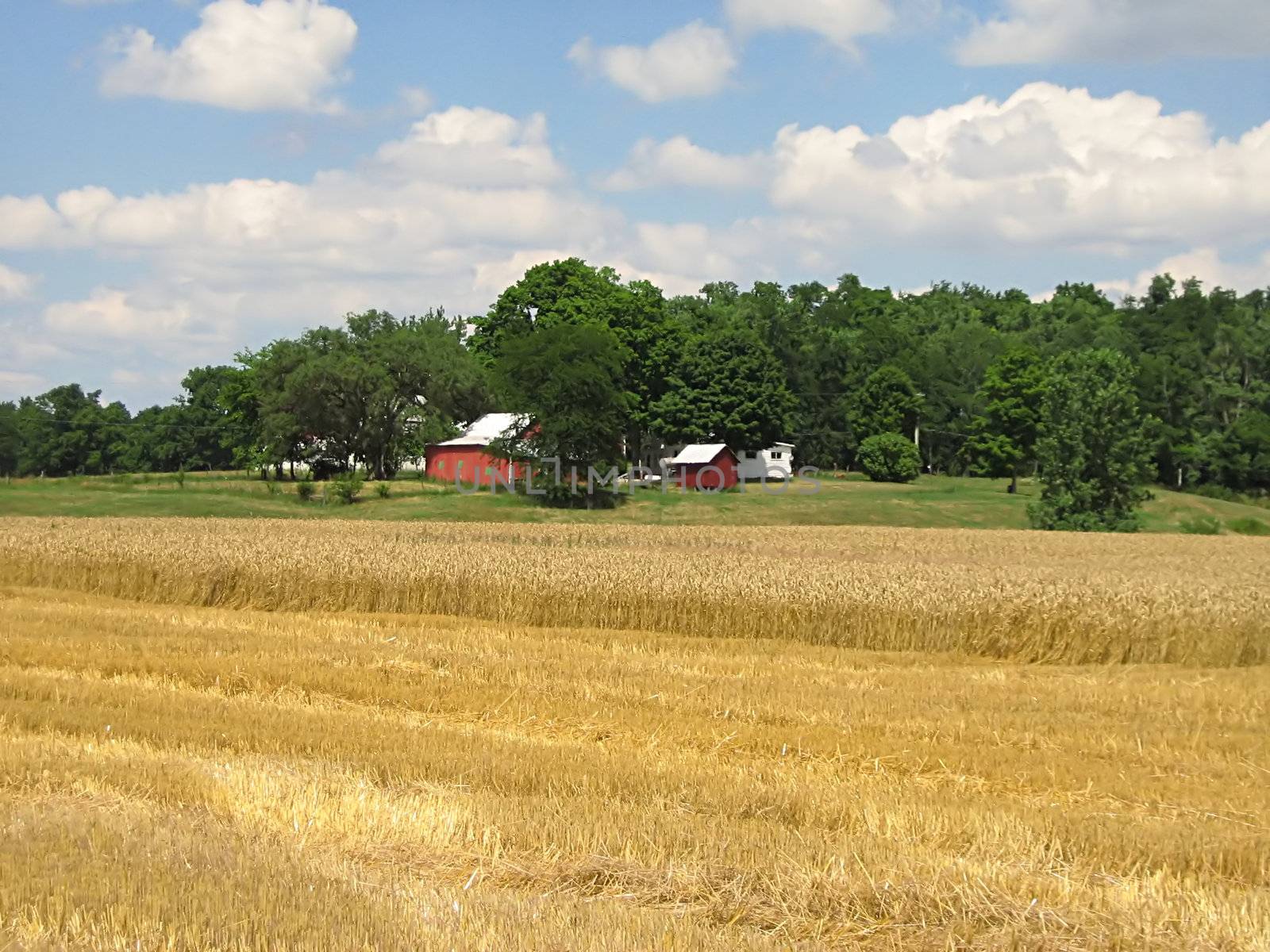 A photograph of farmland in the United States.