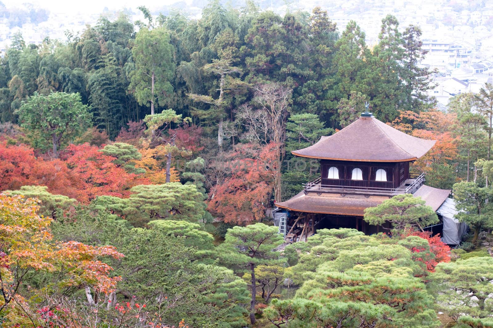A small temple in a Japanese autumn park 
