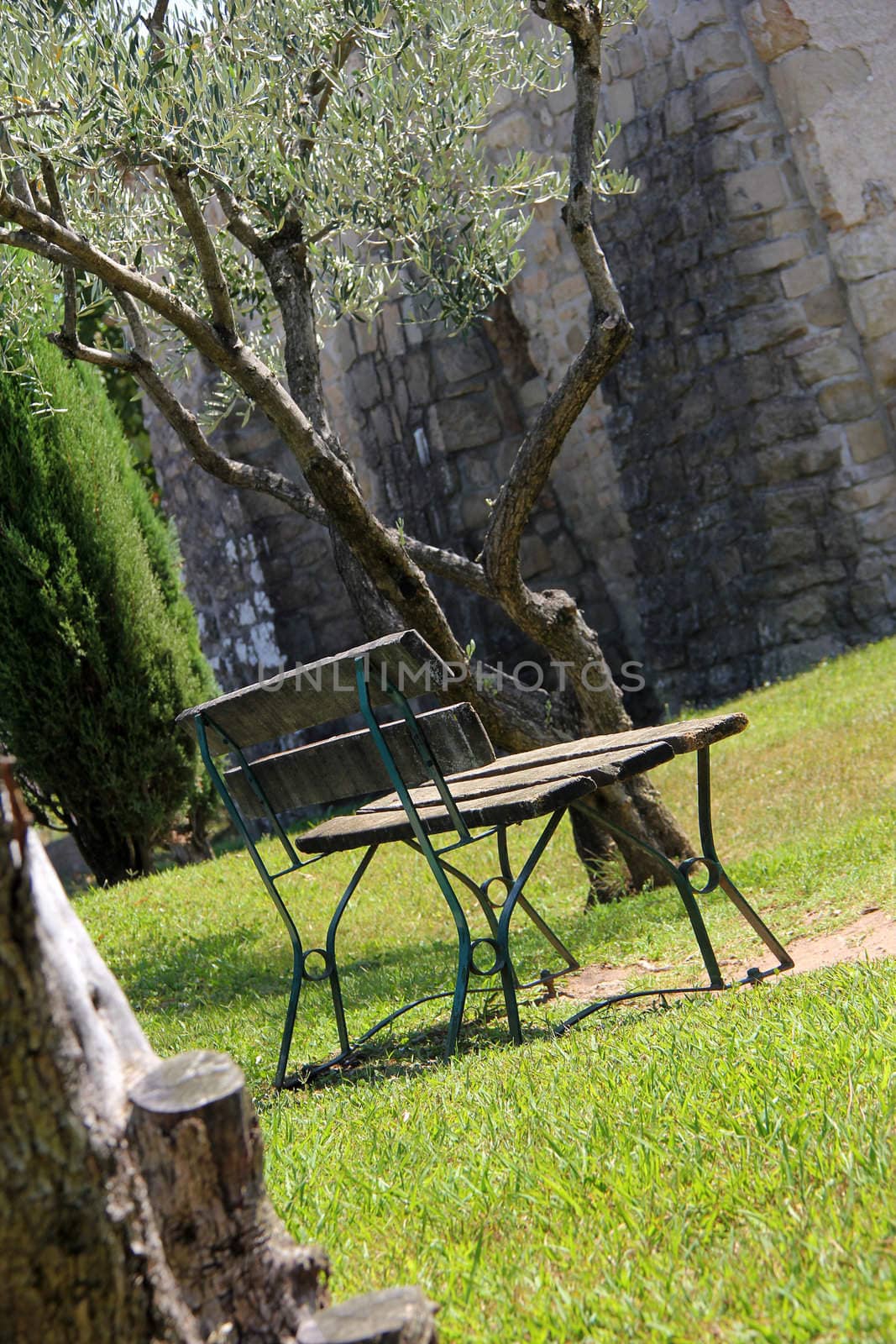 empty bench in a mediterranean park scenery
