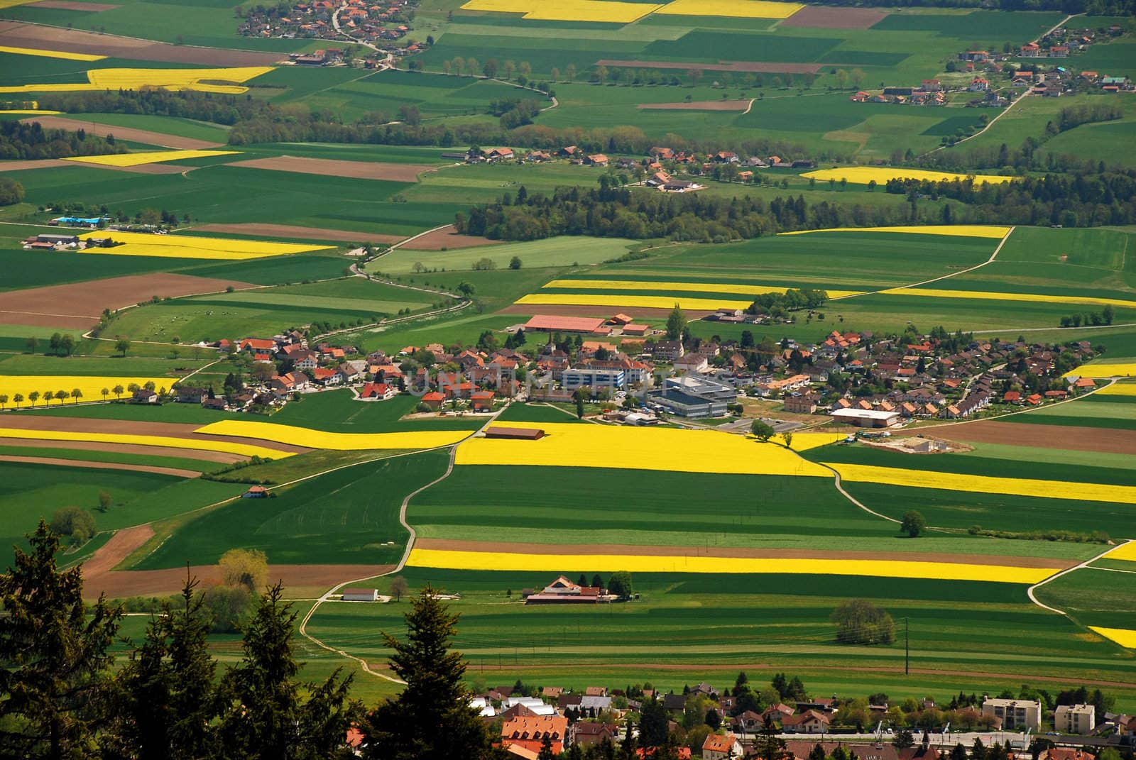 Fontaines village in the middle of Ruz Valley surrounded by fezlds and farms, Cernier city is at foreground and just behind wa can see Engollon aglomeration