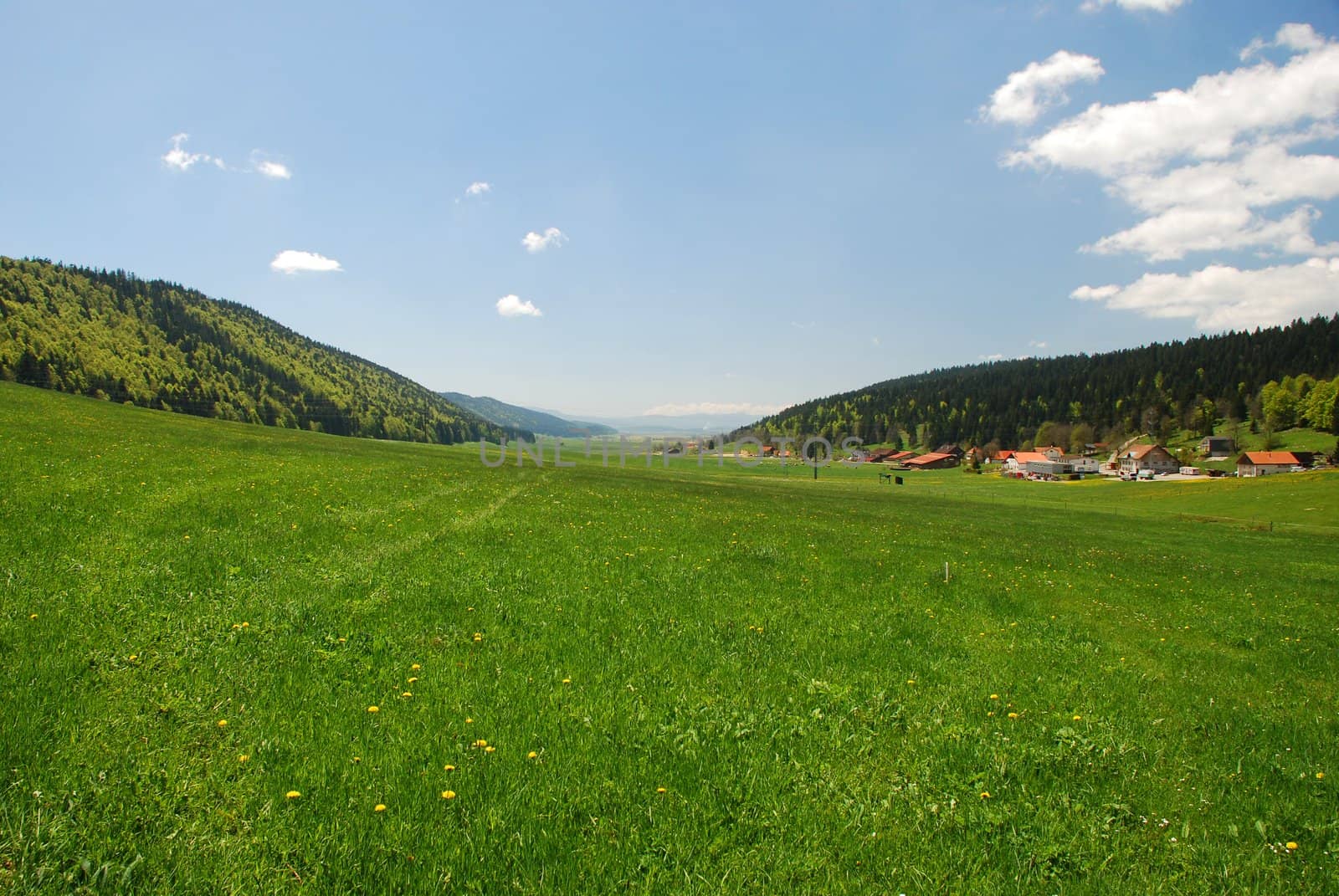 This is very large valley calling "Vallee de la Sagne et des Ponts" situating in Switzerland Jura, it is a grate field space with some farms and animal houses, green colours in spring time