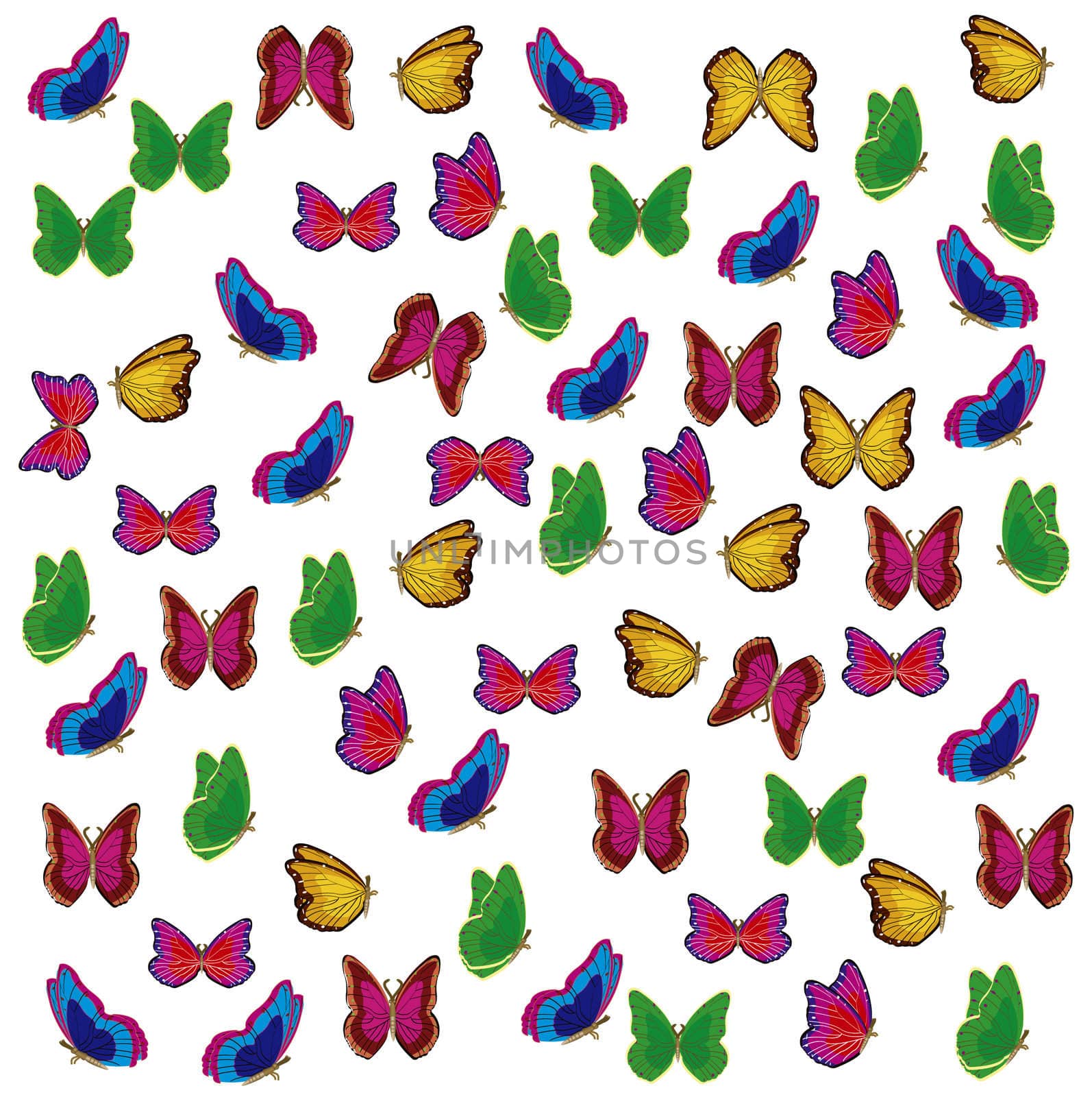 Much varicoloured insects butterfly by cobol1964