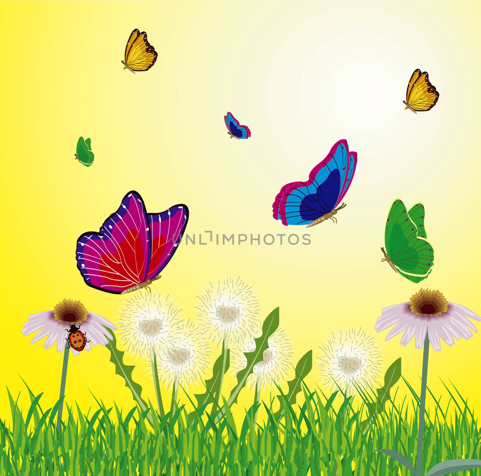 Butterflies flying on year meadow by cobol1964