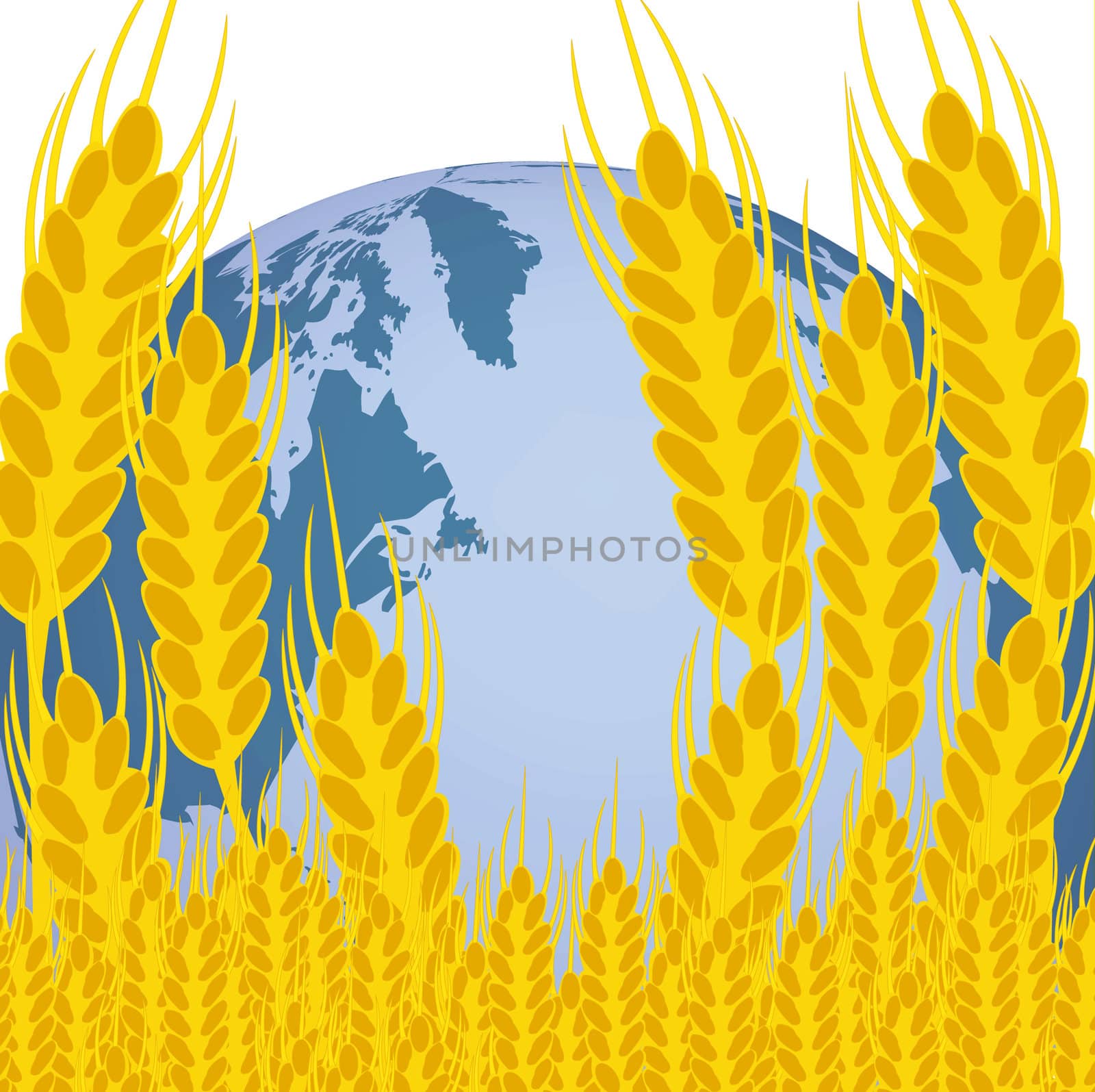 Ear of the ripe wheat and planet land