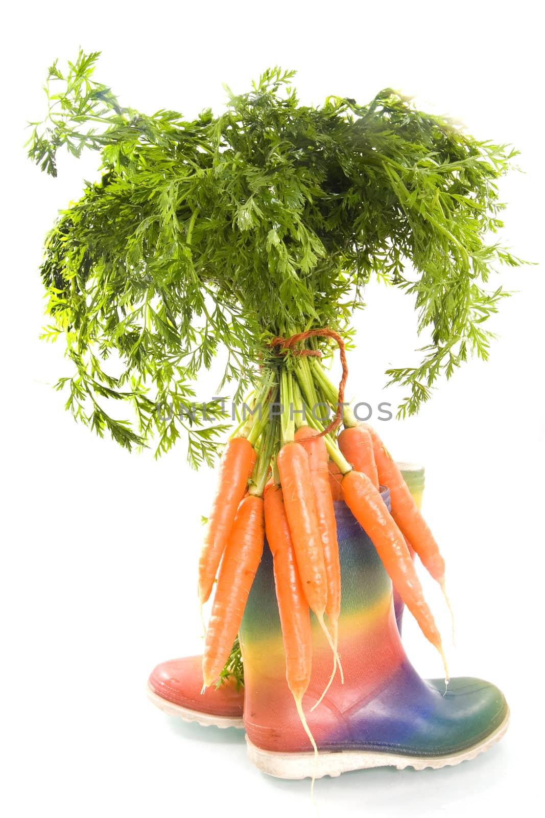 colorful boots with a bunch of carrots, a dutch tradition