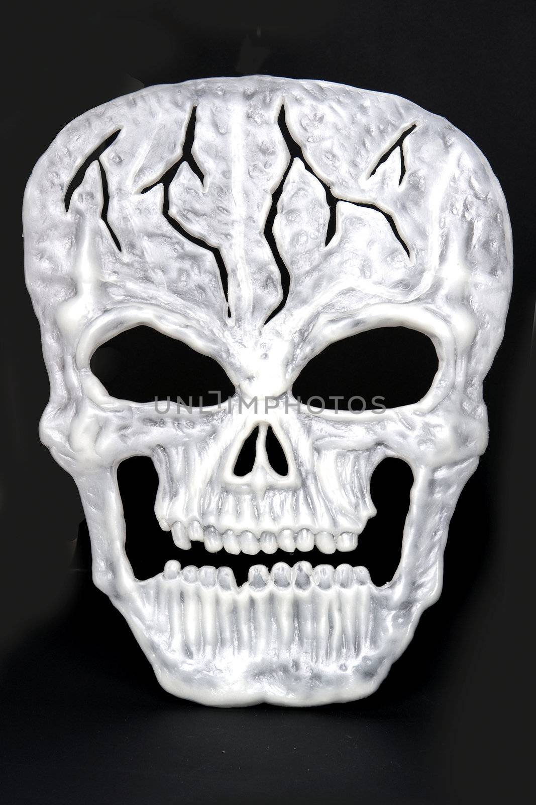 a plastic decoration skull for halloween