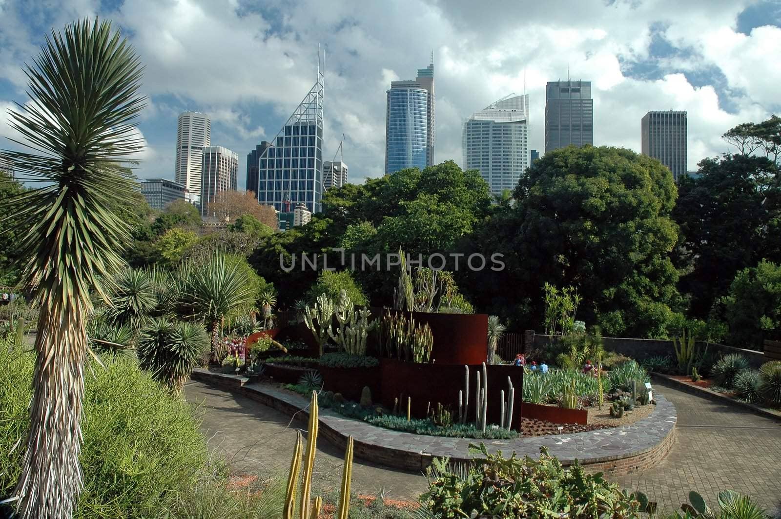 Sydney CBD from Royal Botanic Gardens, cloudy sky