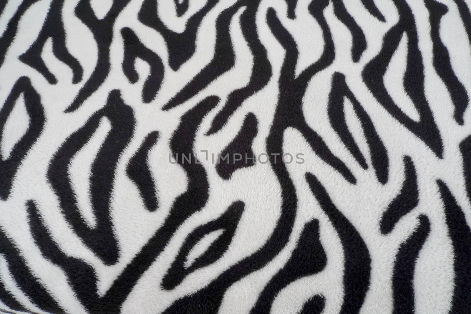 zebra texture Black and White by hsin0407
