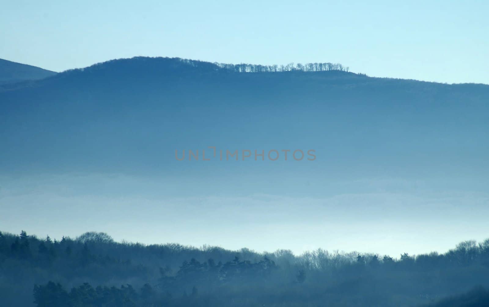 two blue hills covered in fog, forest