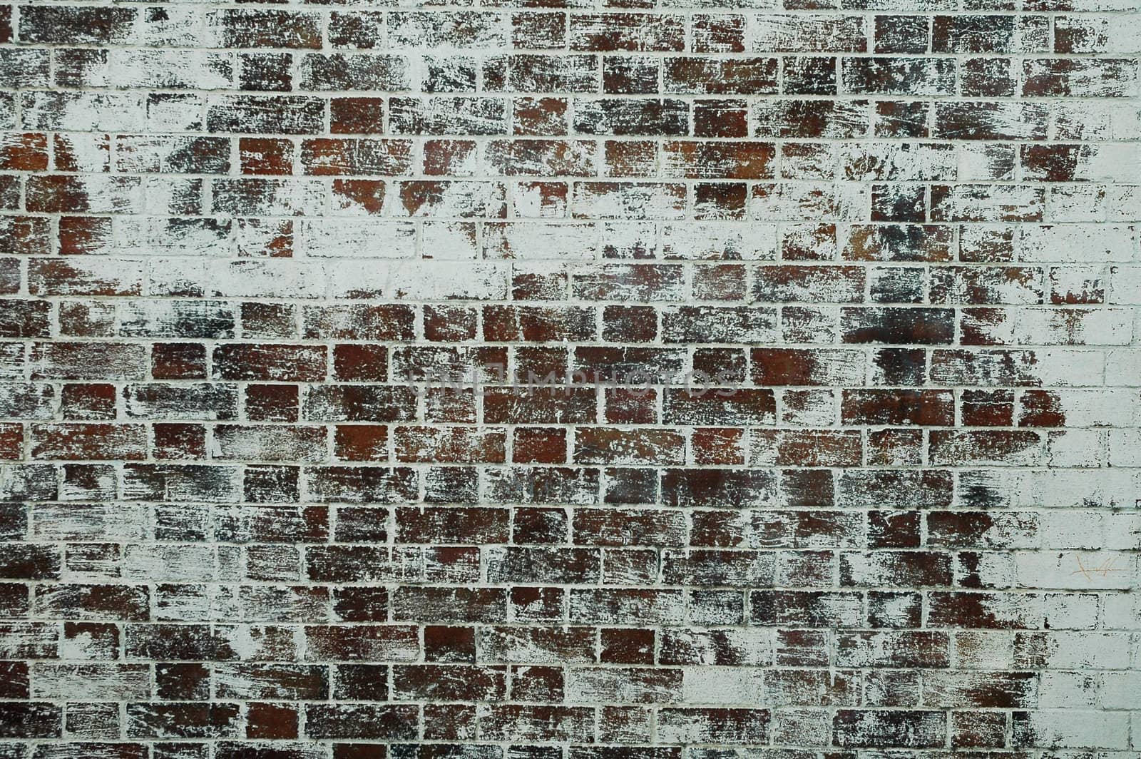 old brick wall partially painted with white color