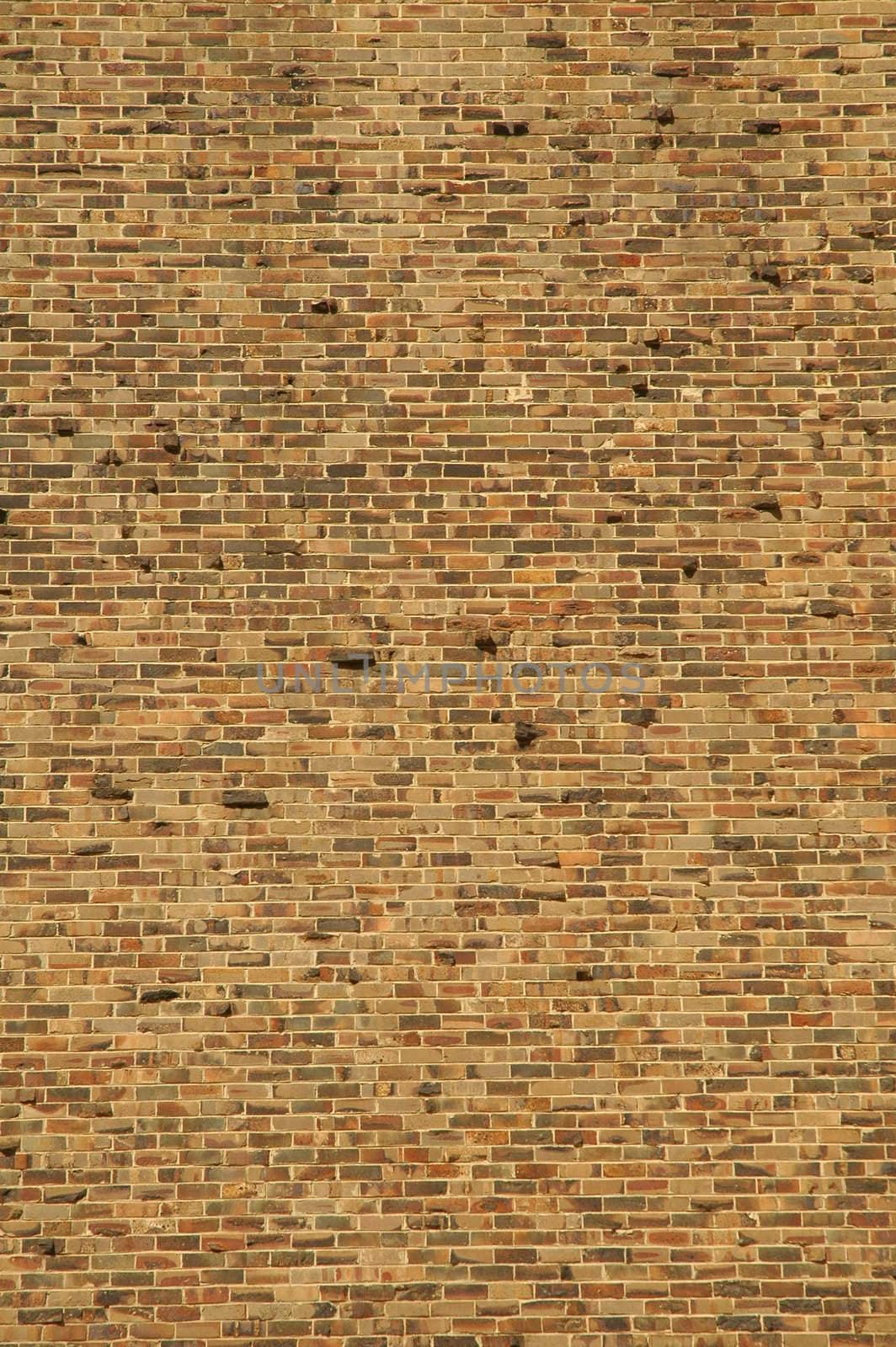 brick wall #2 by rorem