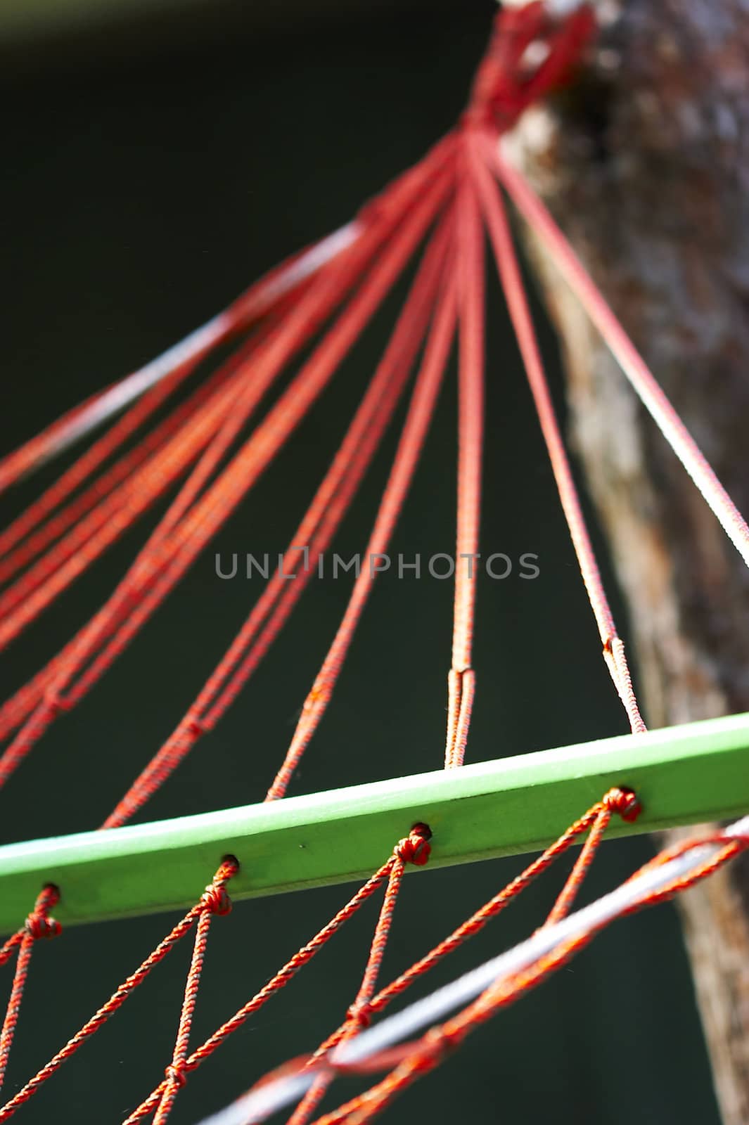 red hammock