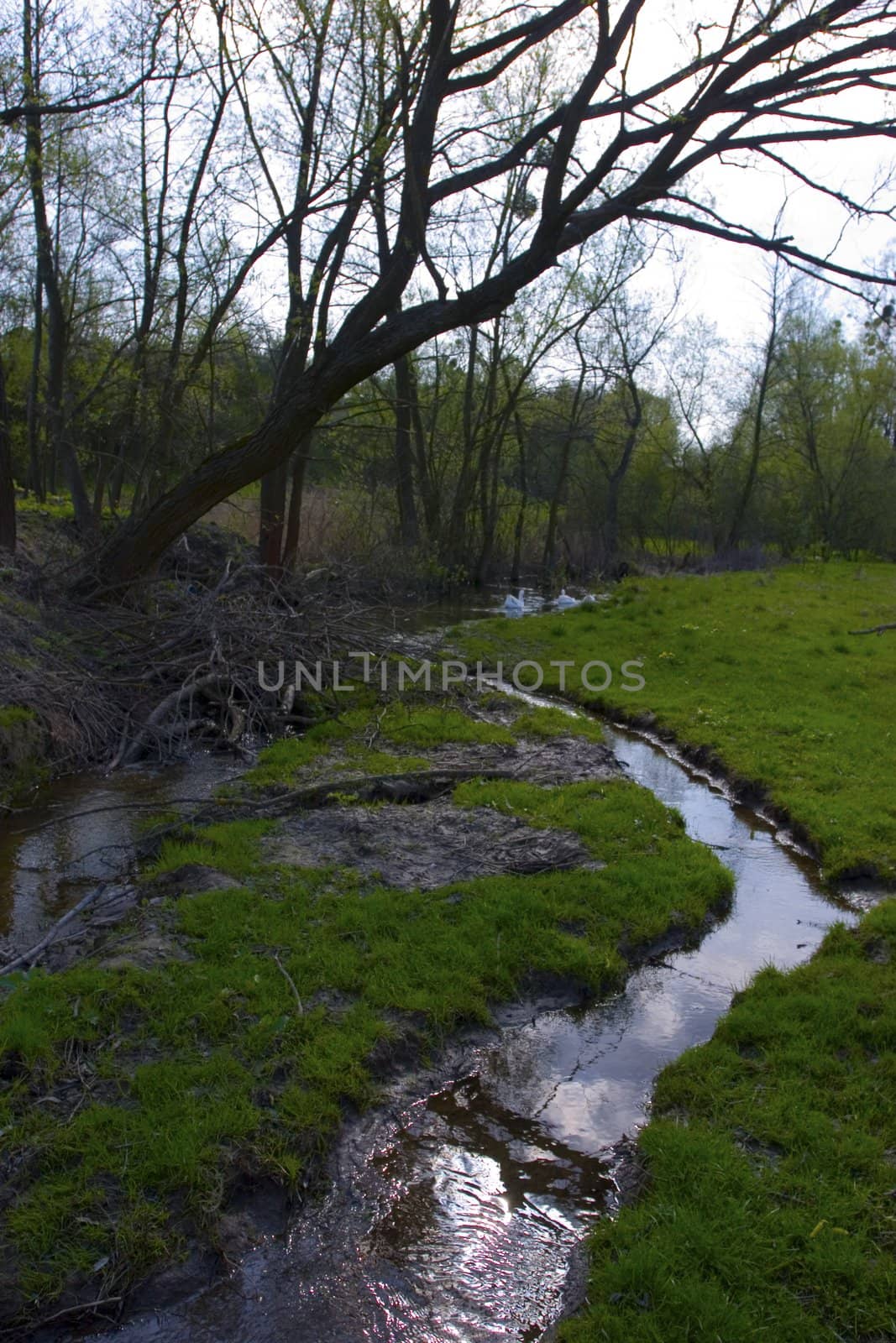 rural landscape