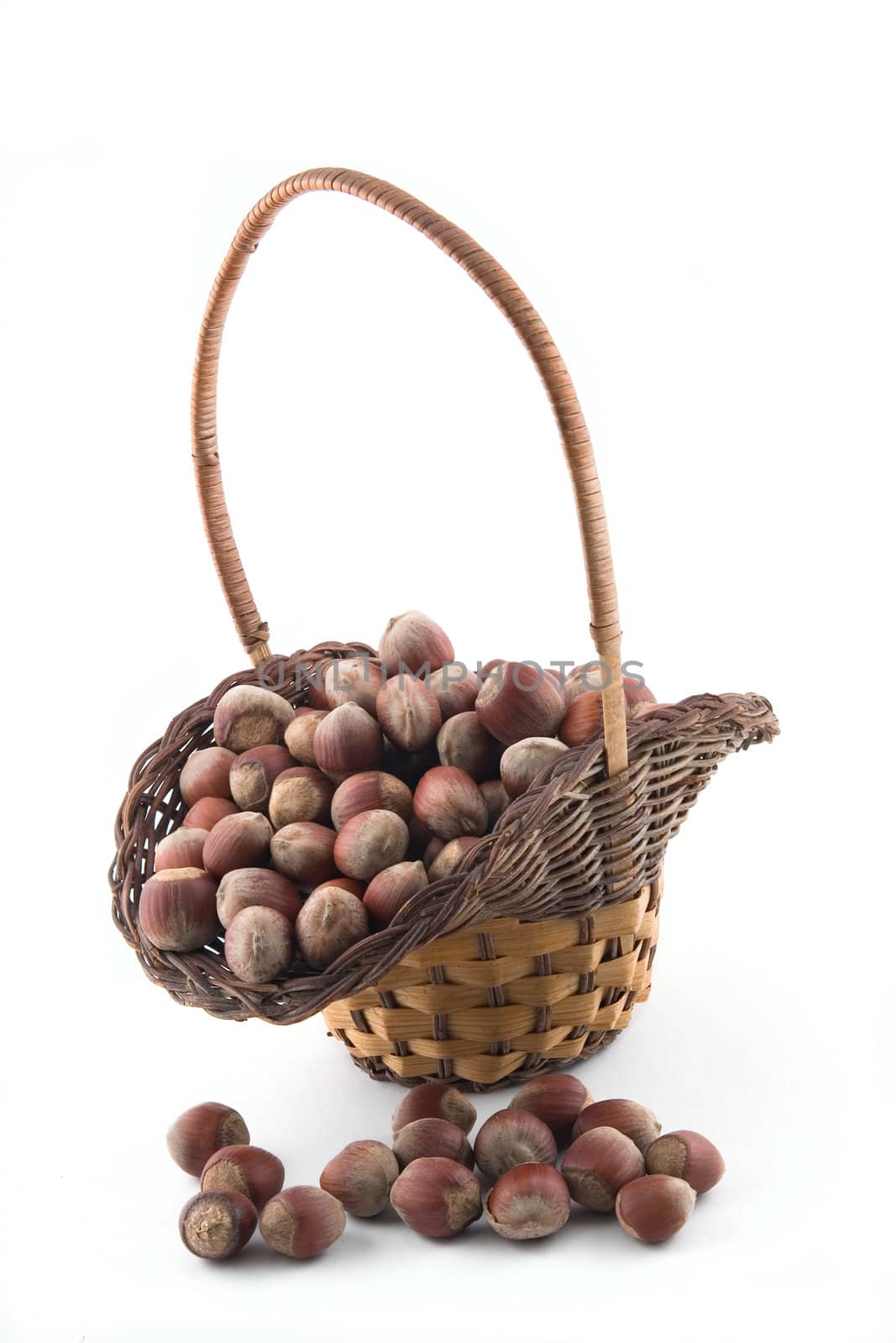 Wood nuts on a white background