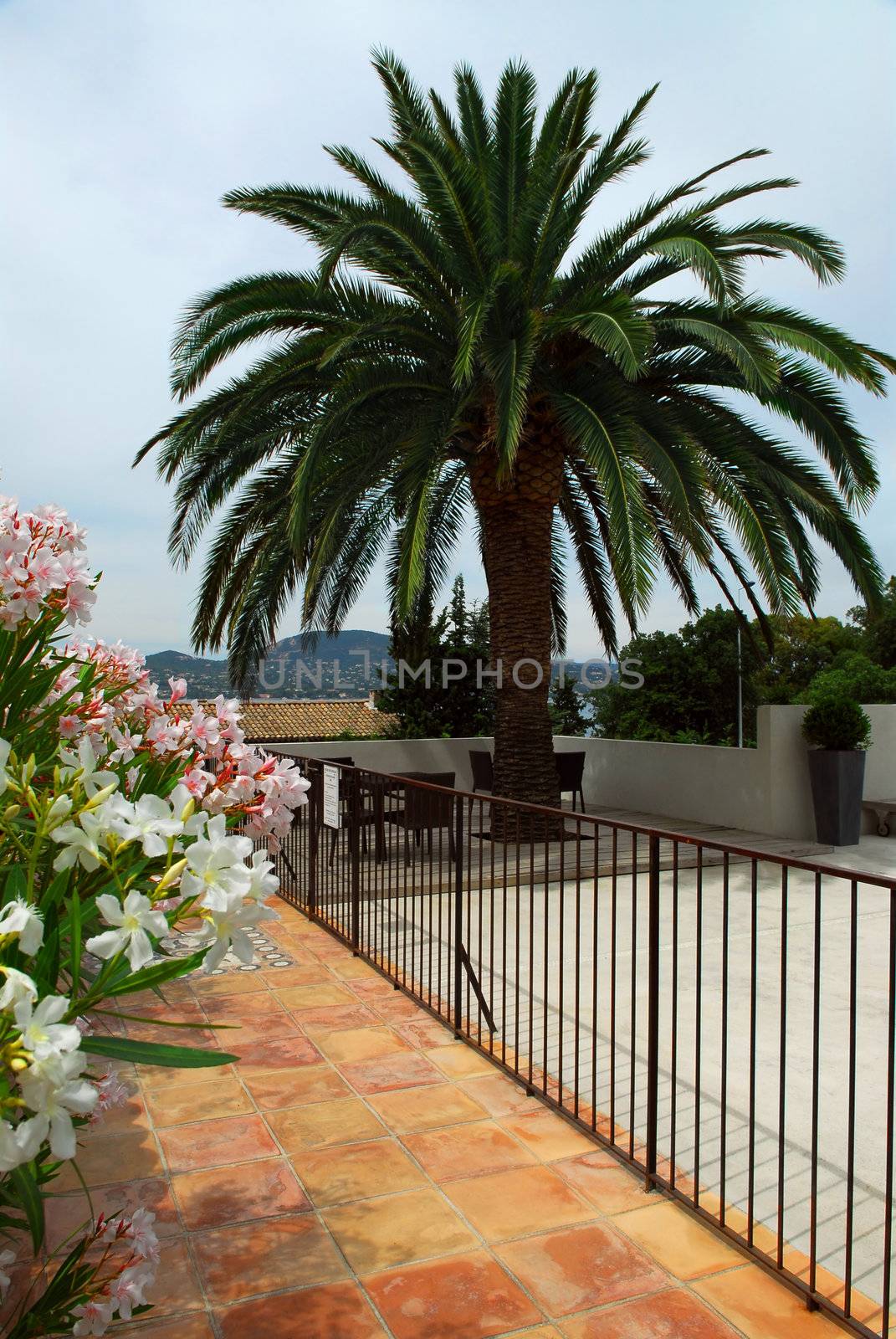 Courtyard of mediterranean villa in French Riviera