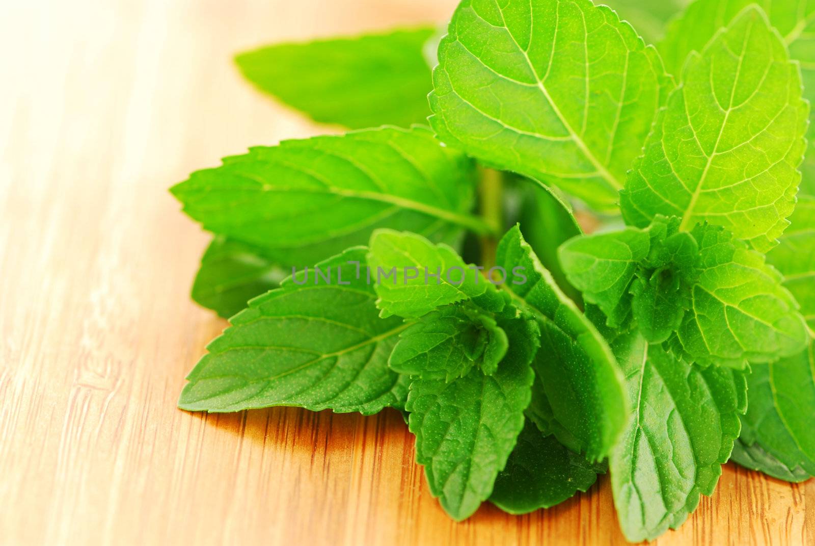 Sprigs of fresh green mint on a cutting board, closeup