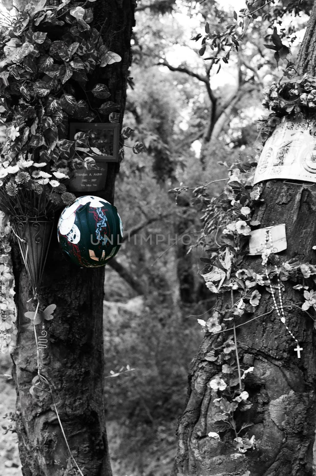 a memorial set up for motorcycle accident victims near Cook's Corner in California