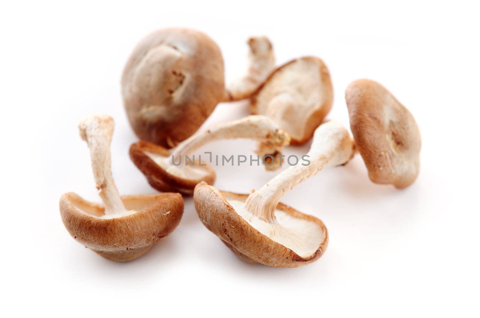 Shiitake mushrooms by elenathewise