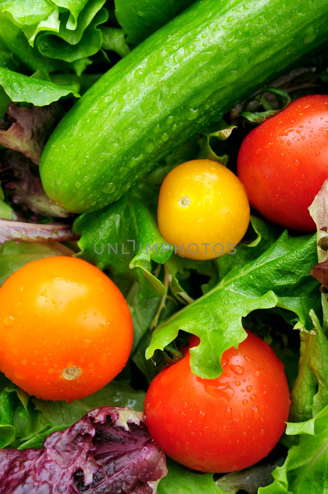 Fresh vegetables by elenathewise