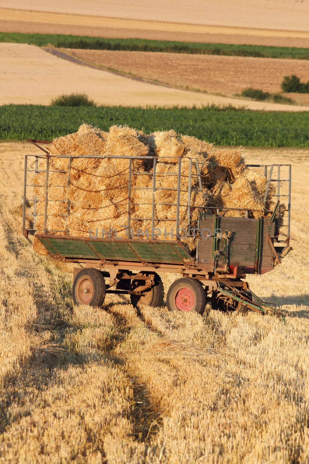 trailer with straw bales on harvested field