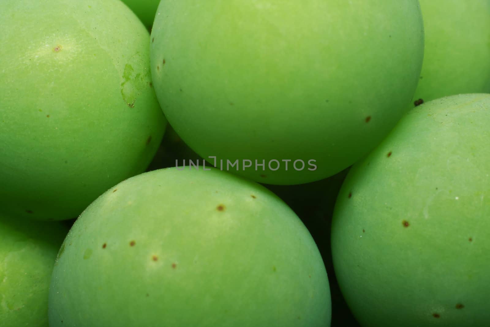 A photo shows unripe grapes in macro.