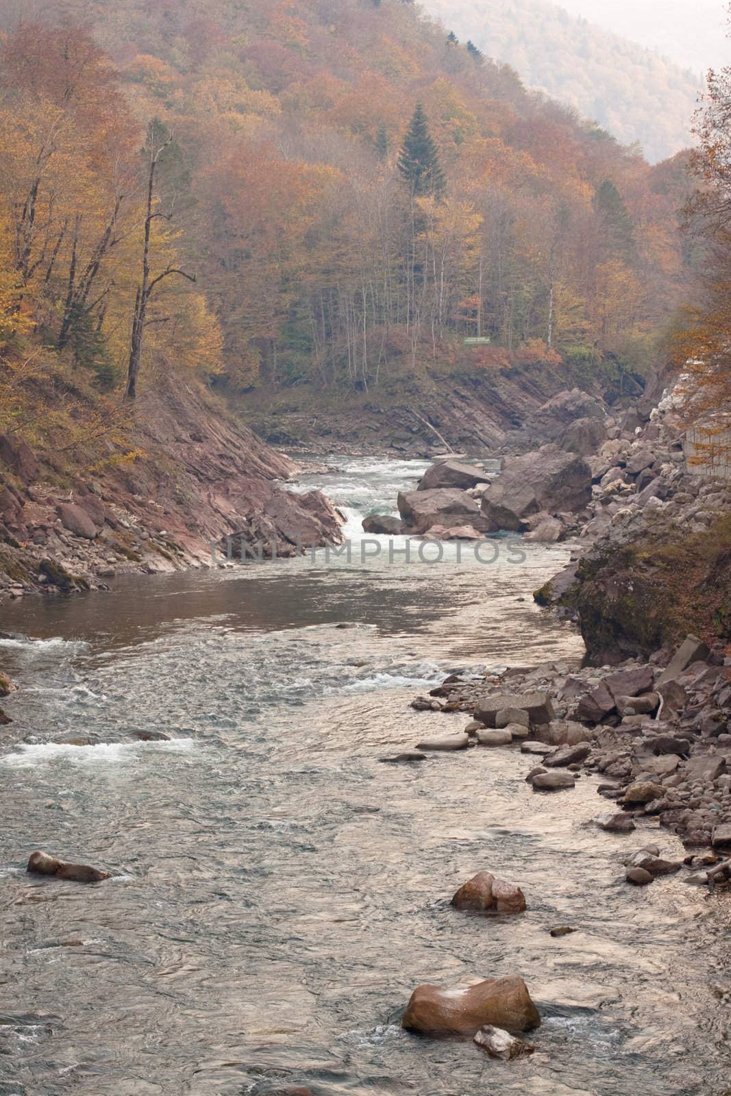 A curved river with stones which flows in a valley on a forest background
