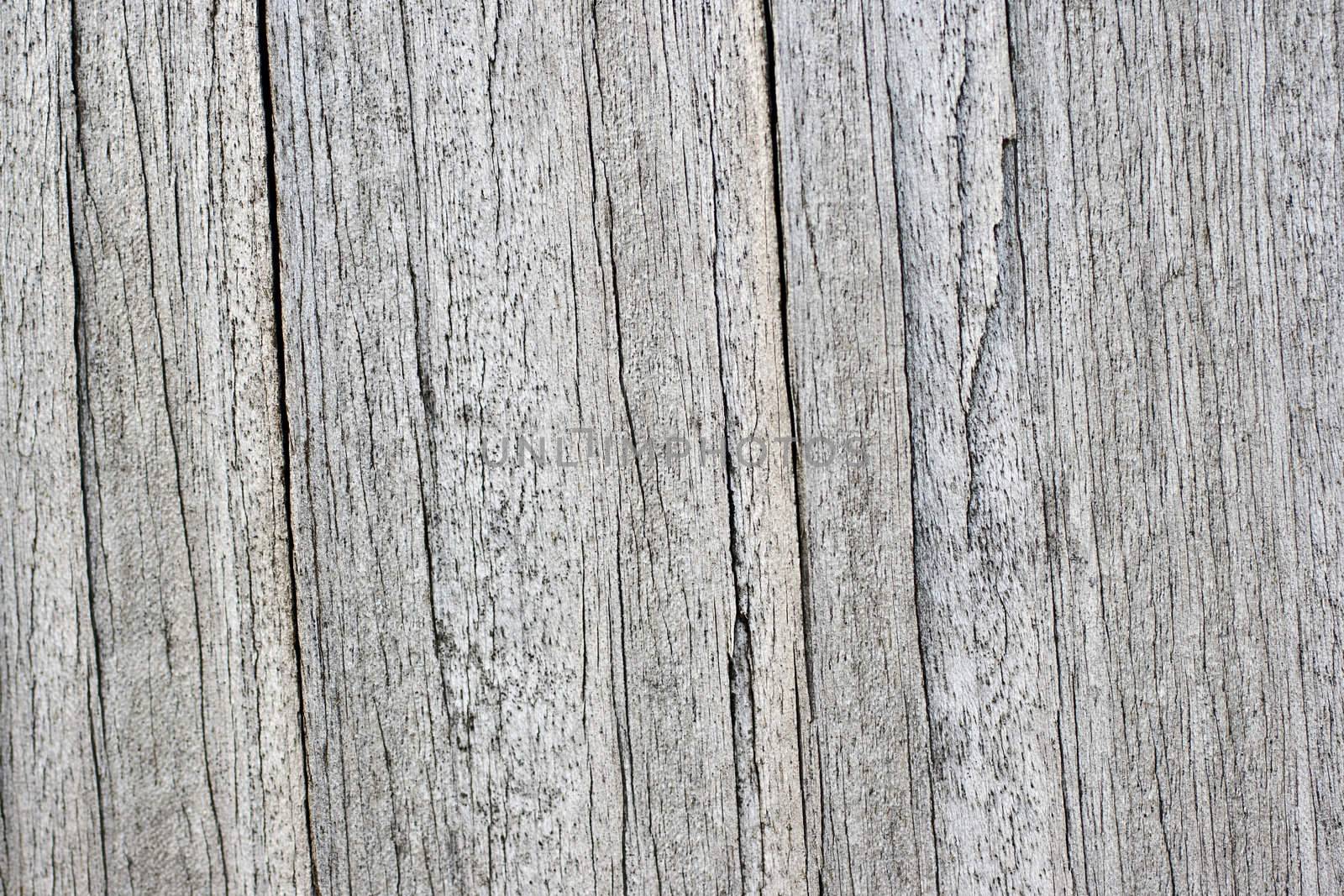 Gray old wooden texture