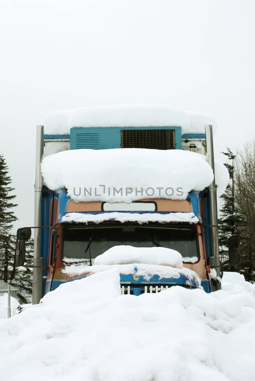 Old derelict blue truck covered in snow