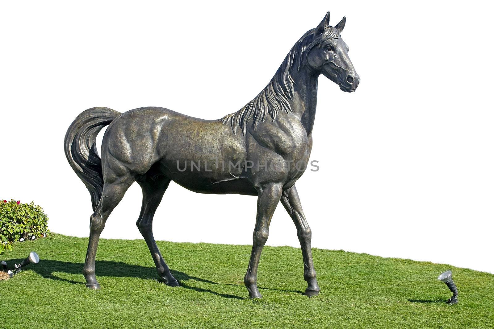Sculpture of a horse on green grass, isolated on white background.