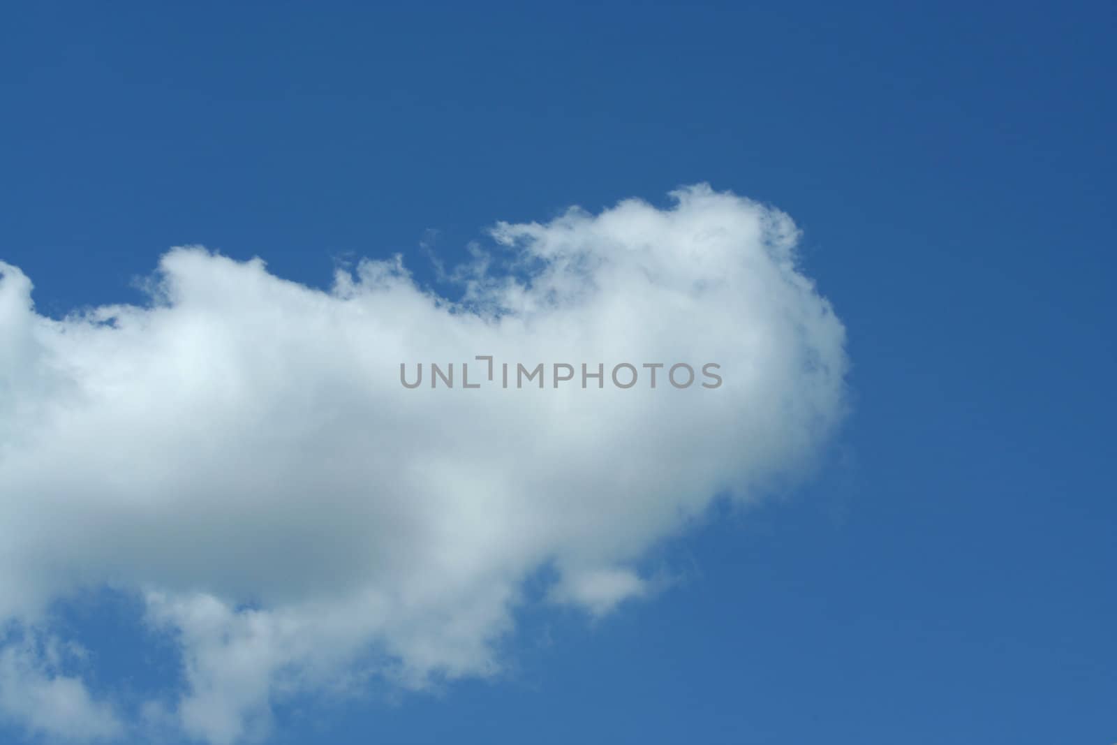 A whitel cloud with blue sky background