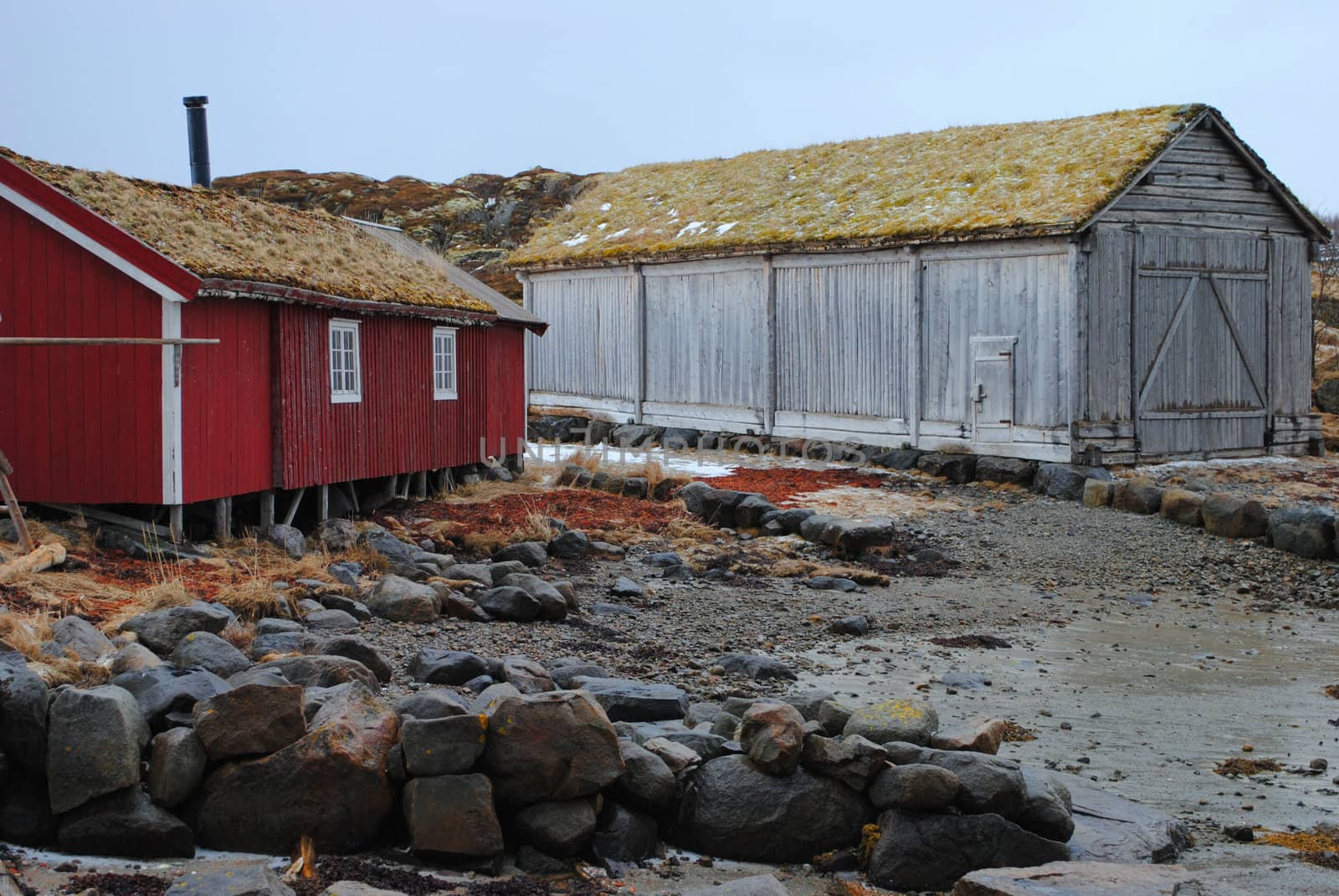 Old fishing lodges in Lofoten, Norway.