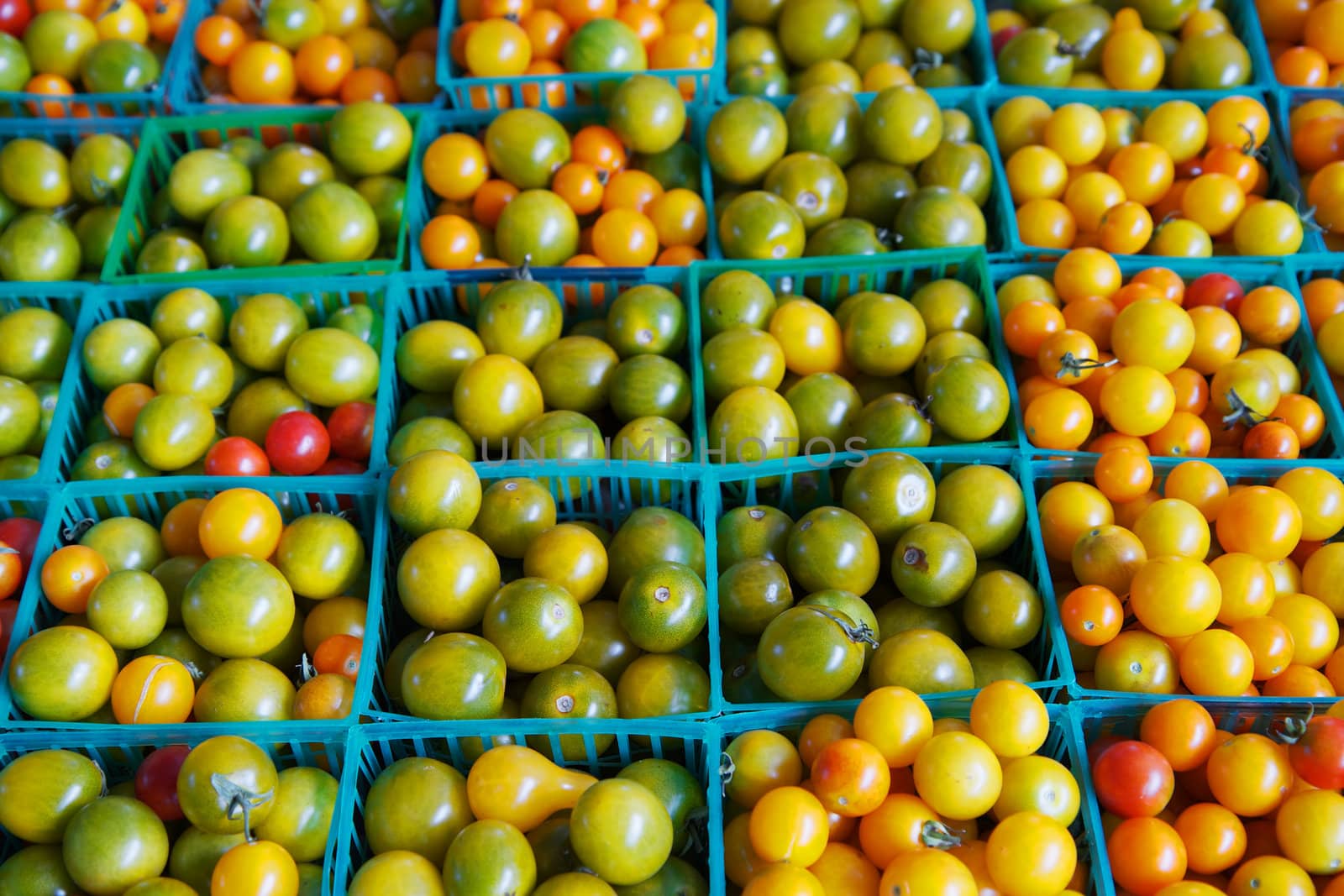 Rows of green, yellow, orange, and red cherry tomatoes at the farmers market